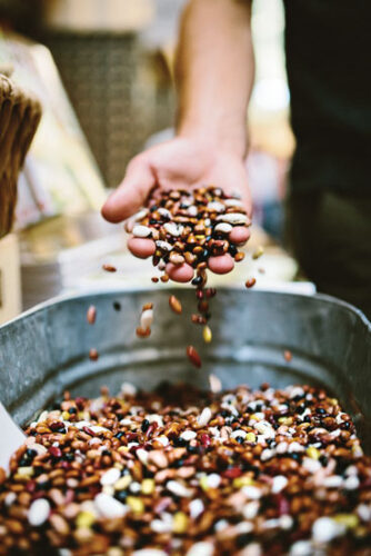 Ancient and Heirloom Beans
